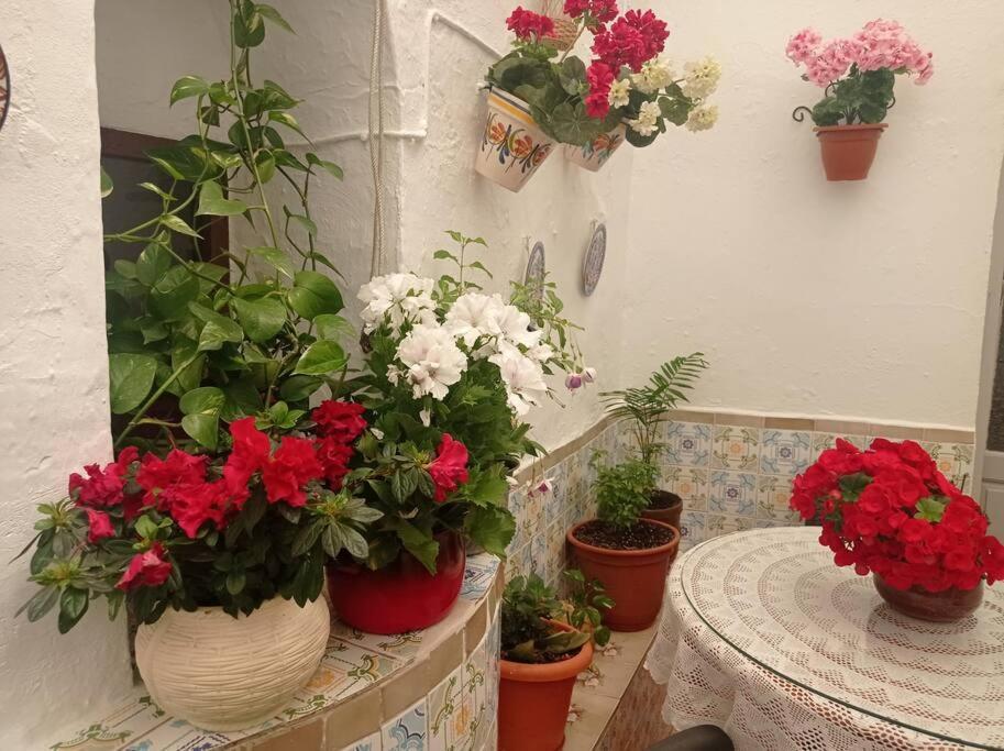 Casa típica de pueblo andaluz Villa Villanueva de San Juan Exterior foto